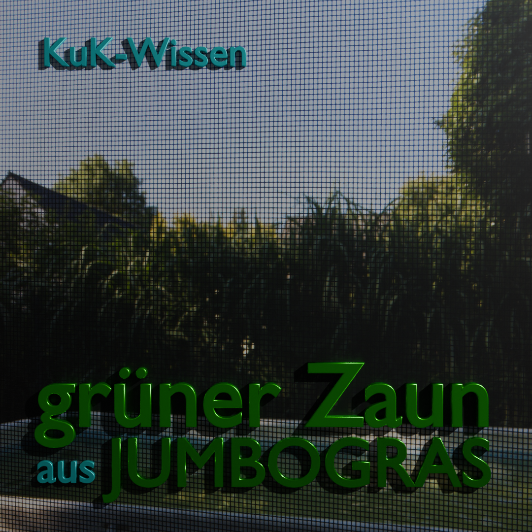 Grüner Zaun aus Jumbogras Logo Bild 1080x1080